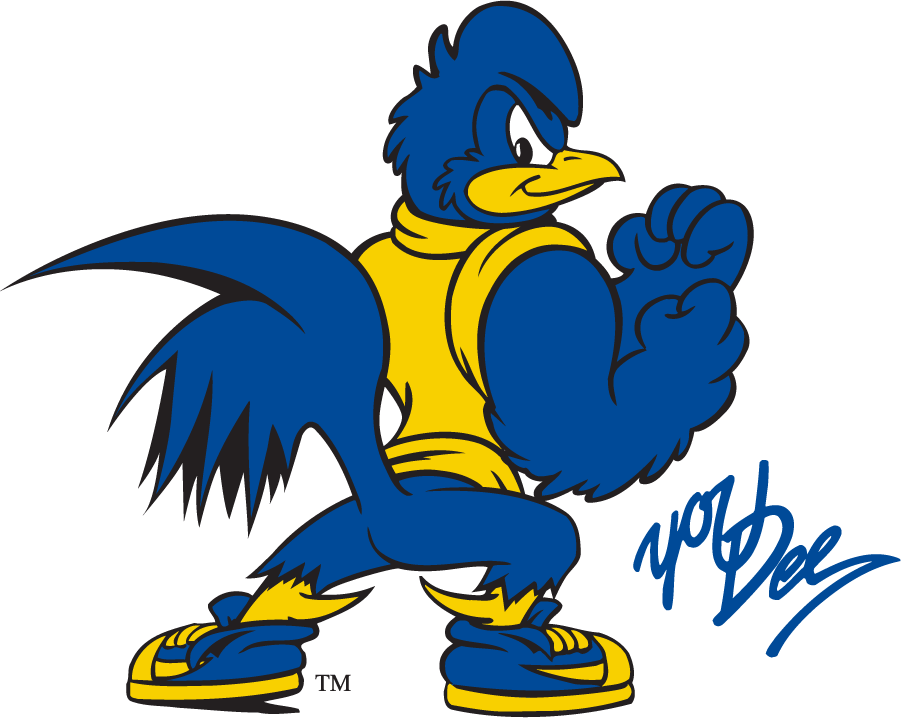 Delaware Blue Hens 2018-Pres Mascot Logo v2 DIY iron on transfer (heat transfer)